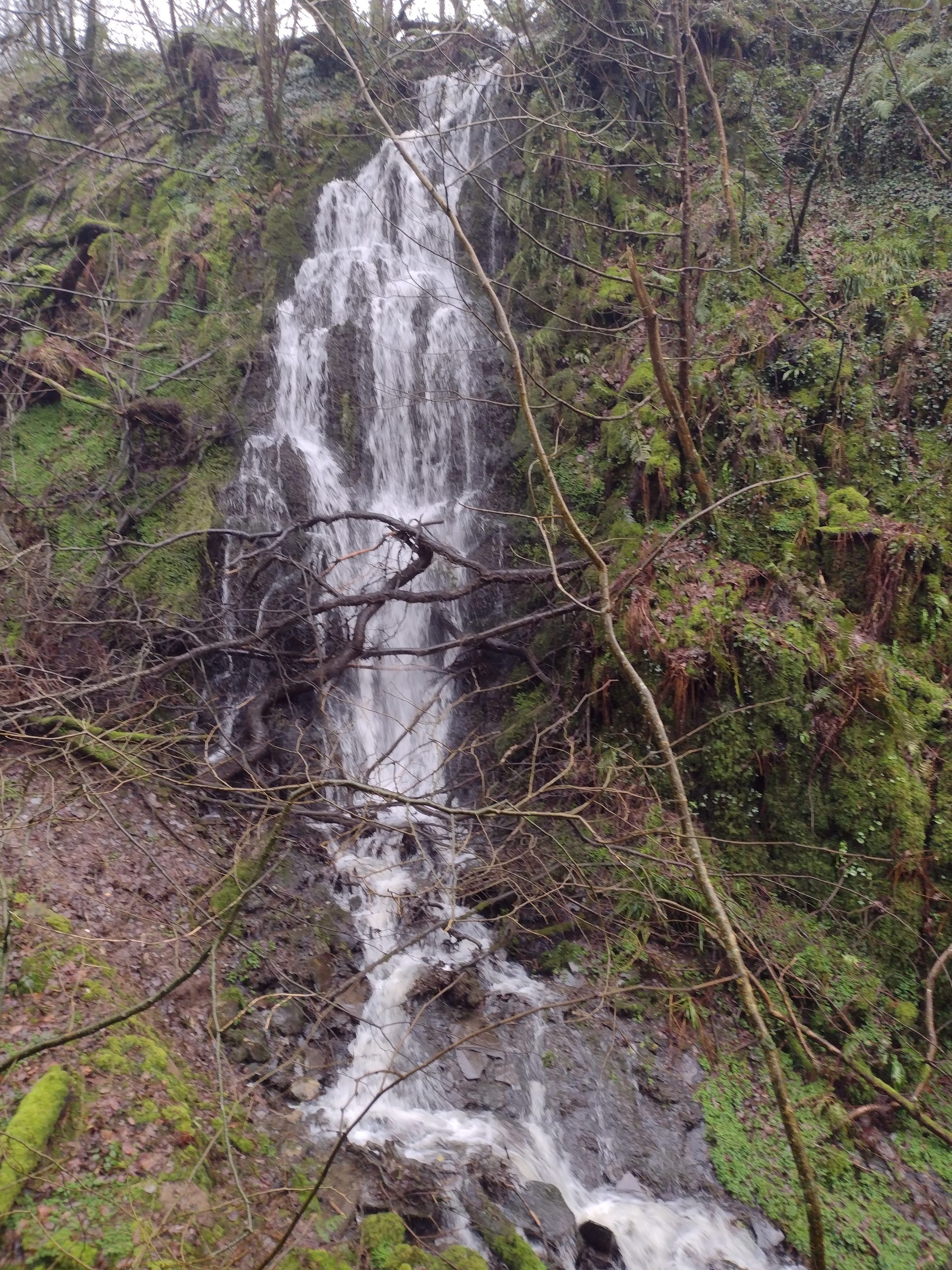 Tregynon Waterfall in the Preseli Mountains, Wales