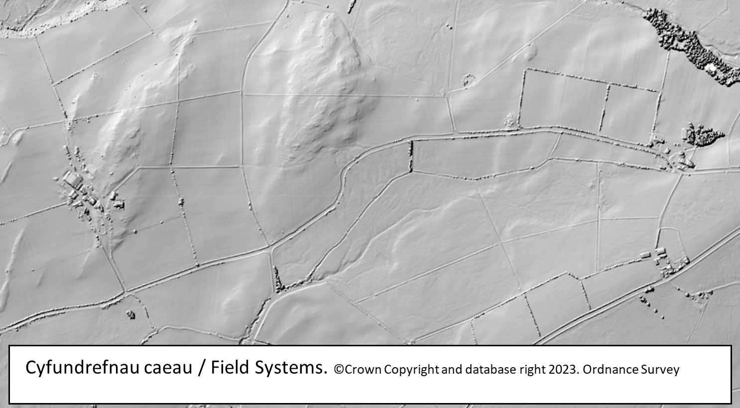 LiDAR image of field systems in Wales