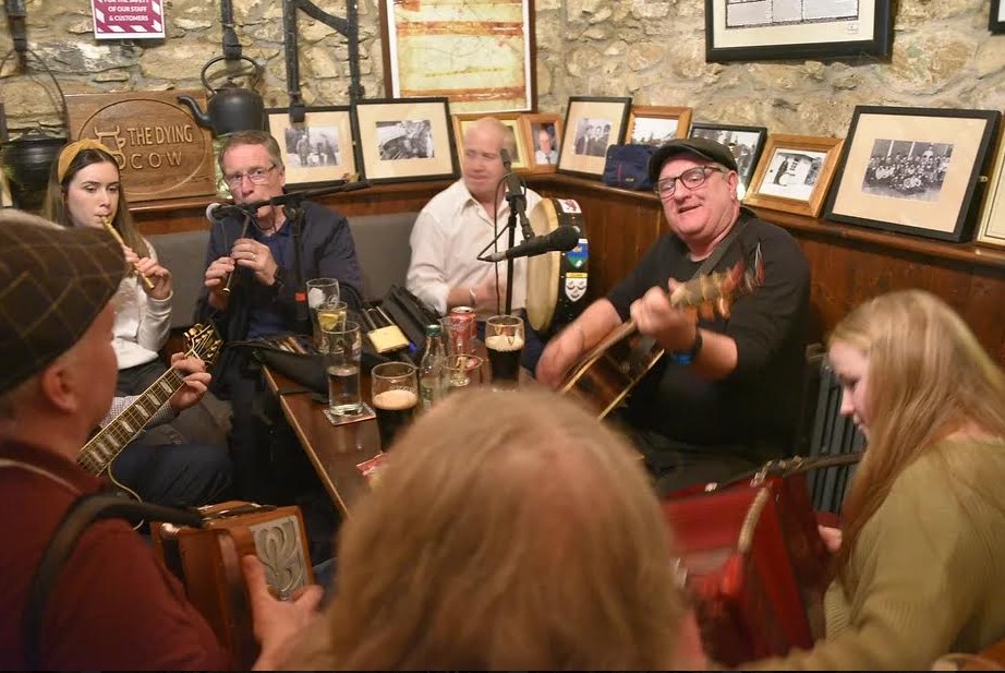 Traditional Music Session in the Dying Cow Pub in Co Wicklow, Ireland